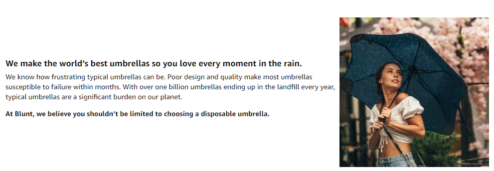 Wind Resistant Travel Umbrella