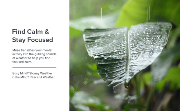 Muse 2: The Brain Sensing Headband