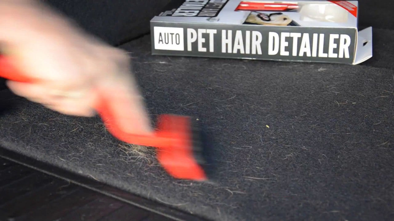Auto Pet Hair Detailer