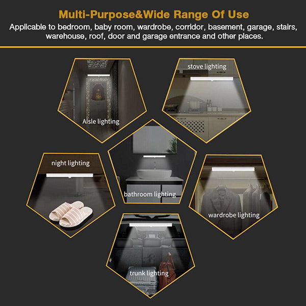 Induction LED Light with Motion Sensor