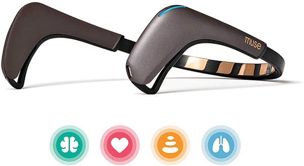 Muse 2: The Brain Sensing Headband
