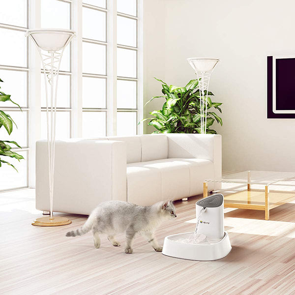 LED Pet Water Fountain with Adjustable Water Flow and Activated Carbon Filter