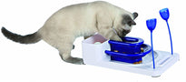 Fantasy Board for Cats