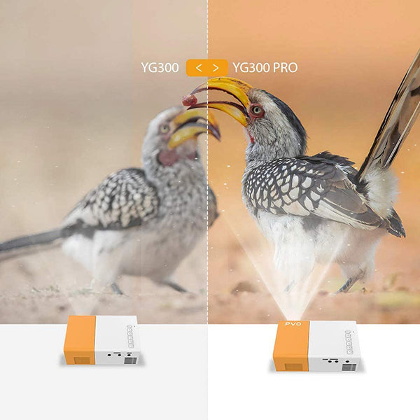 PVO Portable Mini Projector