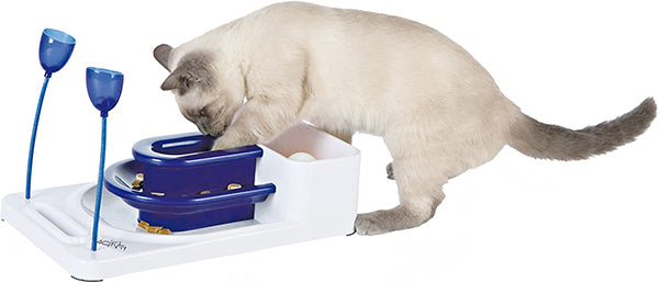 Fantasy Board for Cats