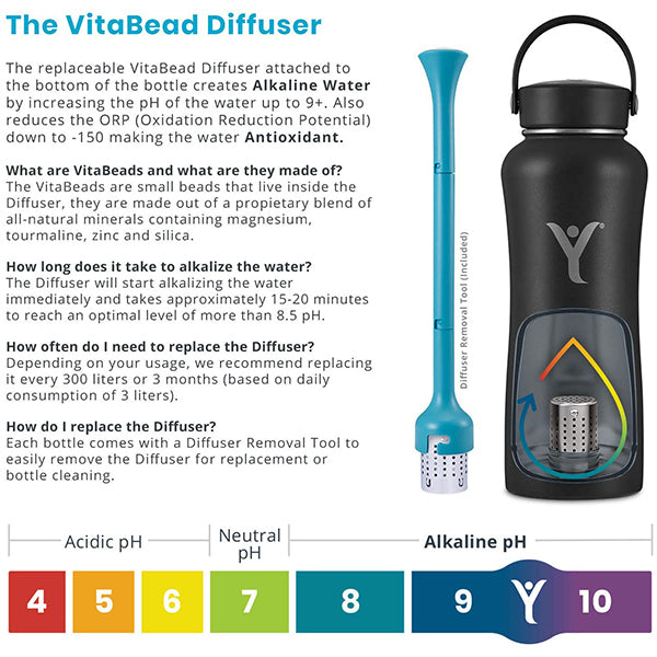 Insulated DYLN Alkaline Water Bottle