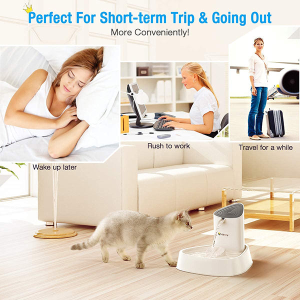 LED Pet Water Fountain with Adjustable Water Flow and Activated Carbon Filter