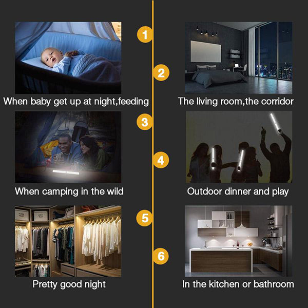 Induction LED Light with Motion Sensor