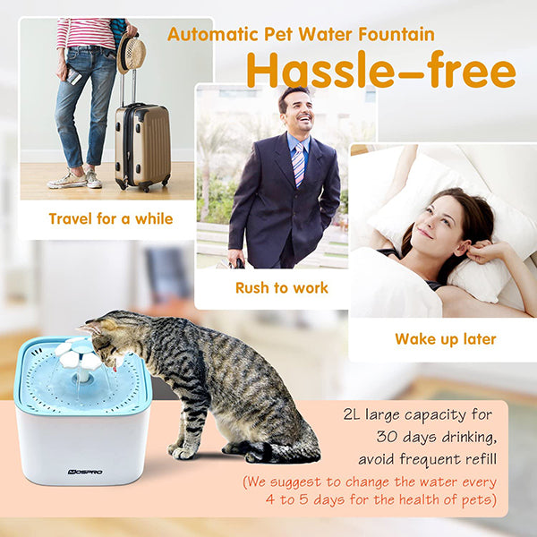 Healthy and Hygienic Automatic Pet Water Fountain