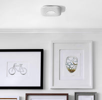 Nest Protect Smoke Alarm