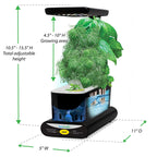 AeroGarden Sprout with Seed Kit