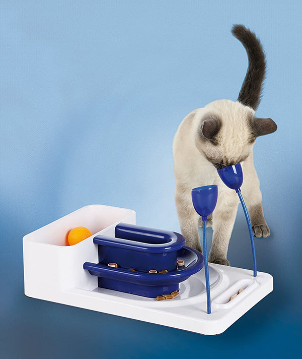 Fantasy Board for Cats
