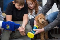 Brushless Paw Wash Bottle