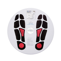 The DR-HO'S Pain Therapy System