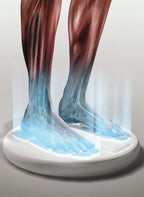 The DR-HO'S Pain Therapy System
