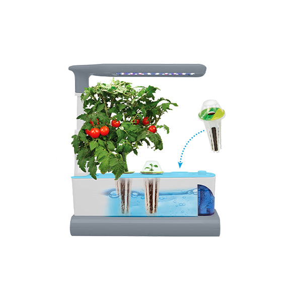 AeroGarden Sprout with Seed Kit