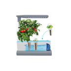 AeroGarden Sprout with Seed Kit