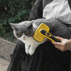 AIITLE Self Cleaning Grooming Slicker Brush for Cats and Dogs