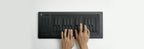 Seaboard RISE 25