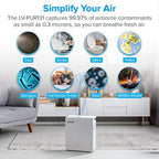 LEVOIT Air Purifier for Home Bedroom