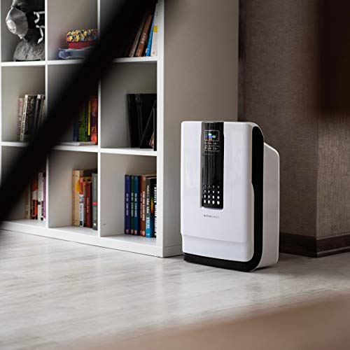 Hathaspace Smart True HEPA Air Purifier