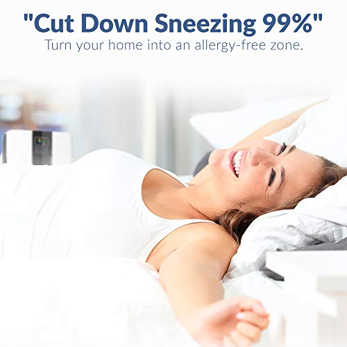 Hathaspace Smart True HEPA Air Purifier