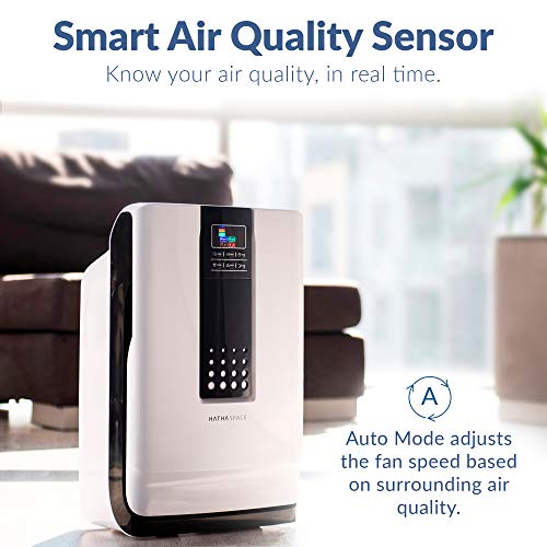 Hathaspace Smart True HEPA Air Purifier