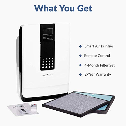 Hathaspace Smart True HEPA Air Purifier