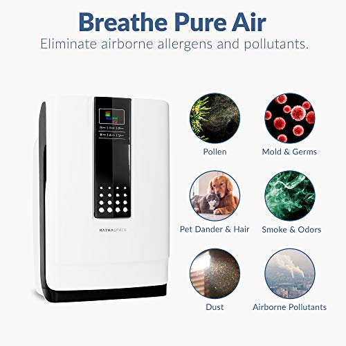 Hathaspace Smart True HEPA Air Purifier