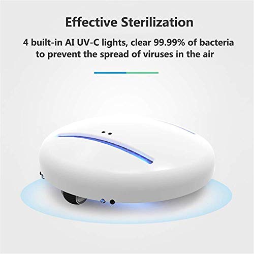 Portable Smart Bacteria Killing Robot
