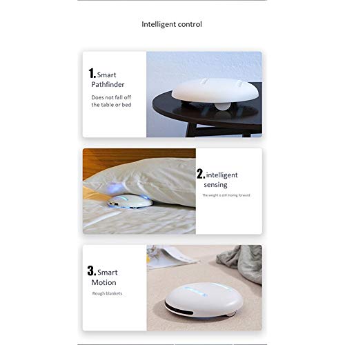 Portable Smart Bacteria Killing Robot