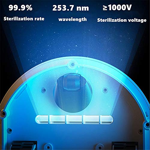 Portable Smart Bacteria Killing Robot