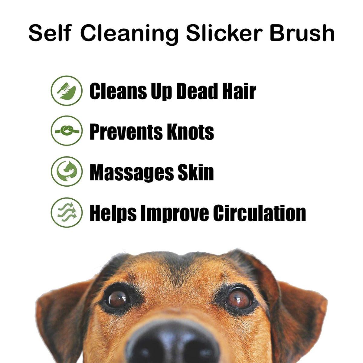 BarxBuddy Self Cleaning Grooming Slicker Brush for Cats and Dogs