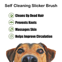 BarxBuddy Self Cleaning Grooming Slicker Brush for Cats and Dogs