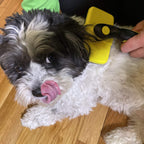 BarxBuddy Self Cleaning Grooming Slicker Brush for Cats and Dogs