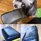 BarxBuddy Self Cleaning Grooming Slicker Brush for Cats and Dogs