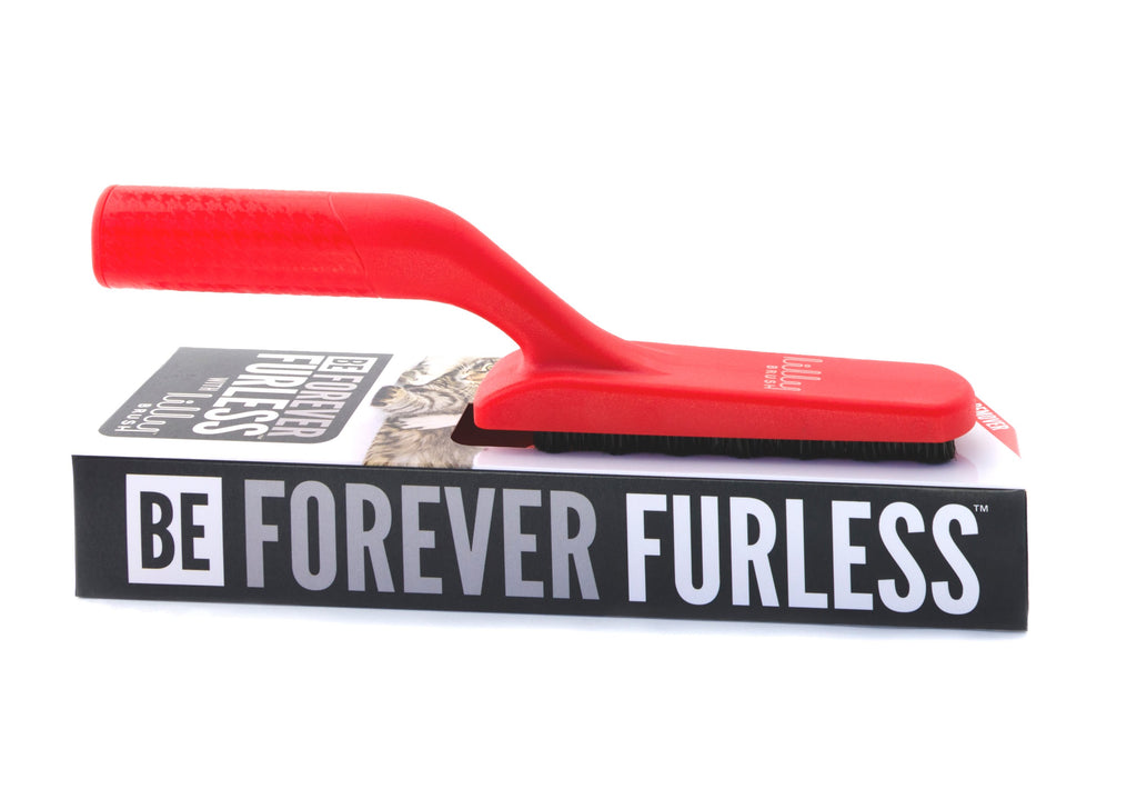 Be Forever Furless Brush