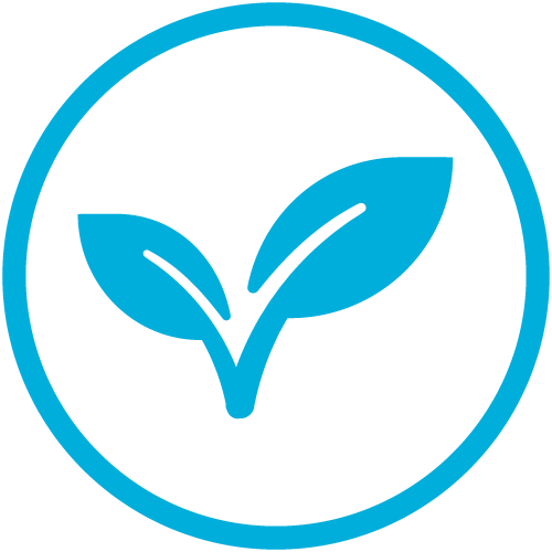 Insulated DYLN Alkaline Water Bottle