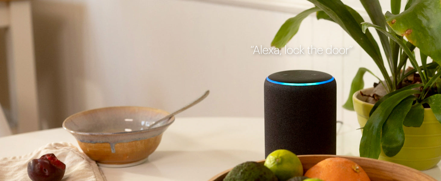 August Smart Lock.