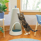 The Cone Cat Scratching Wrap