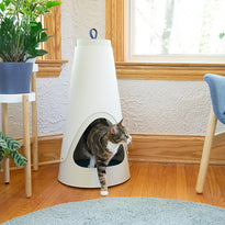 The Cone Cat Scratching Wrap