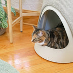 The Cone Cat Scratching Wrap