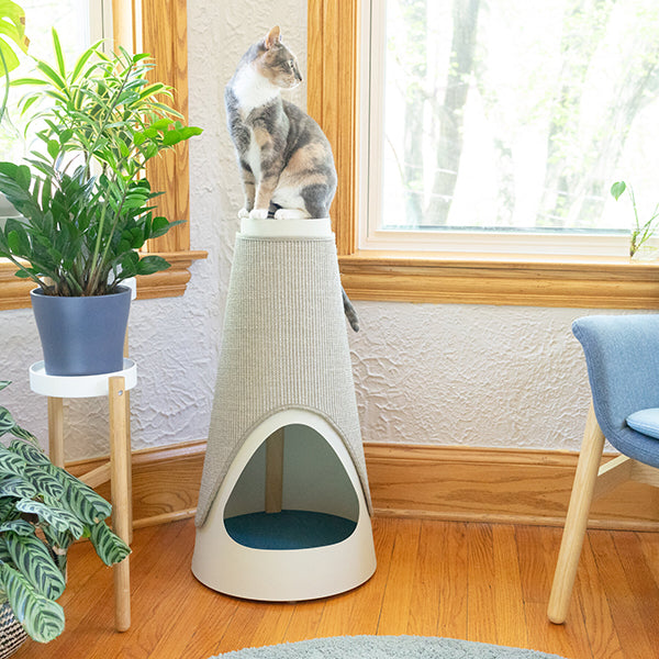 The Cone Cat Scratching Wrap