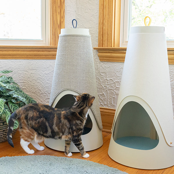 The Cone Cat Scratching Wrap