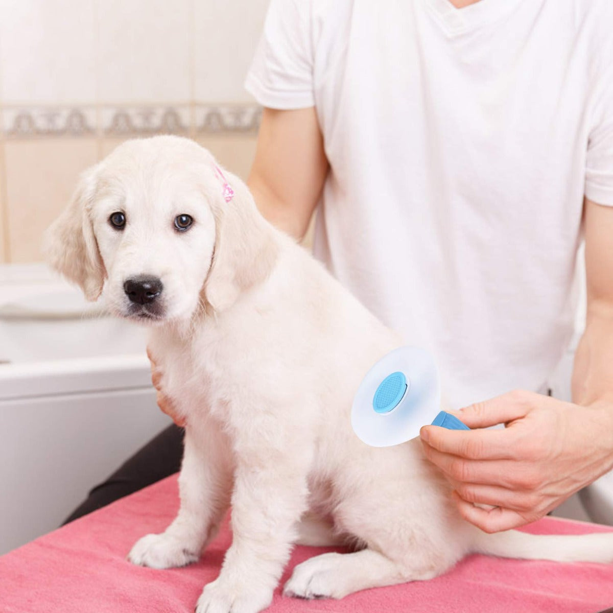Depets Dog, Cat & Rabbit Self Cleaning Slicker Brush for Shedding and Grooming