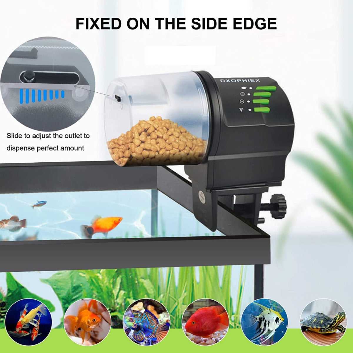 DXOPHIEX WiFi Automatic Fish Feeder for Aquarium and Turtle Tank with Fish Feeding Ring