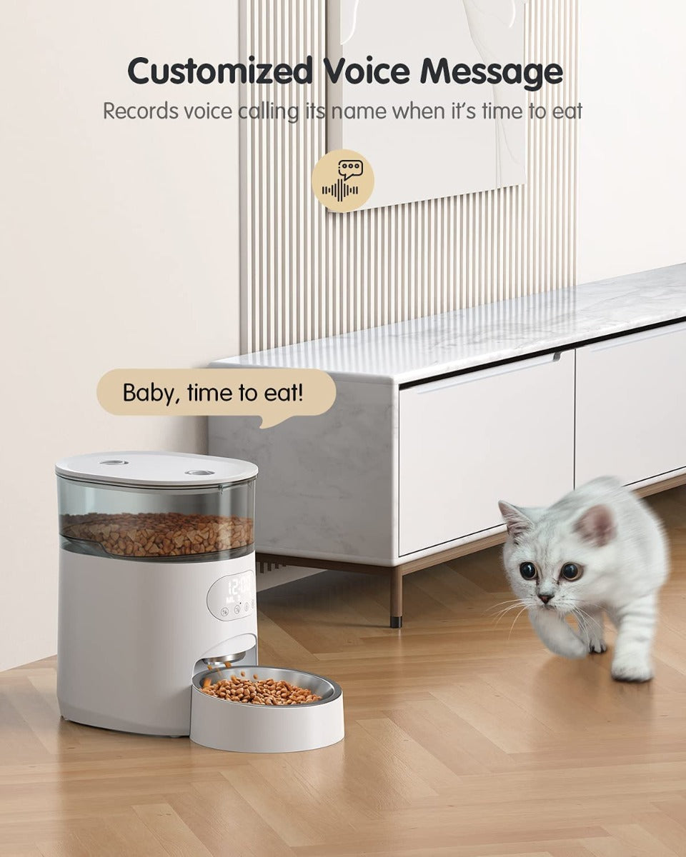 Faroro Automatic 4L Cat Feeder with Timer and Portion Control, Stainless Steel Bowl, Desiccant Bag and Voice Recording Up to 6 Meals per Day for Multiple Cats and Small Dogs