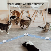 FEECOS Rechargeable Self Rotating Robotic Moving Pet Toys with USB, Light and Feathers for Kitten/Dogs/Puppy