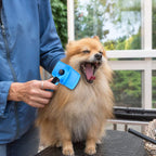 Fida Self Cleaning Grooming Slicker Brush for Cats and Dogs