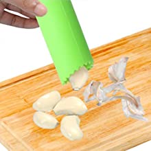 Stainless Steel Garlic Press